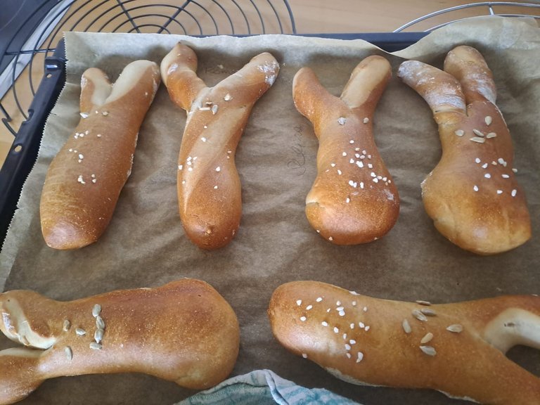 Osterhase_1.jpg