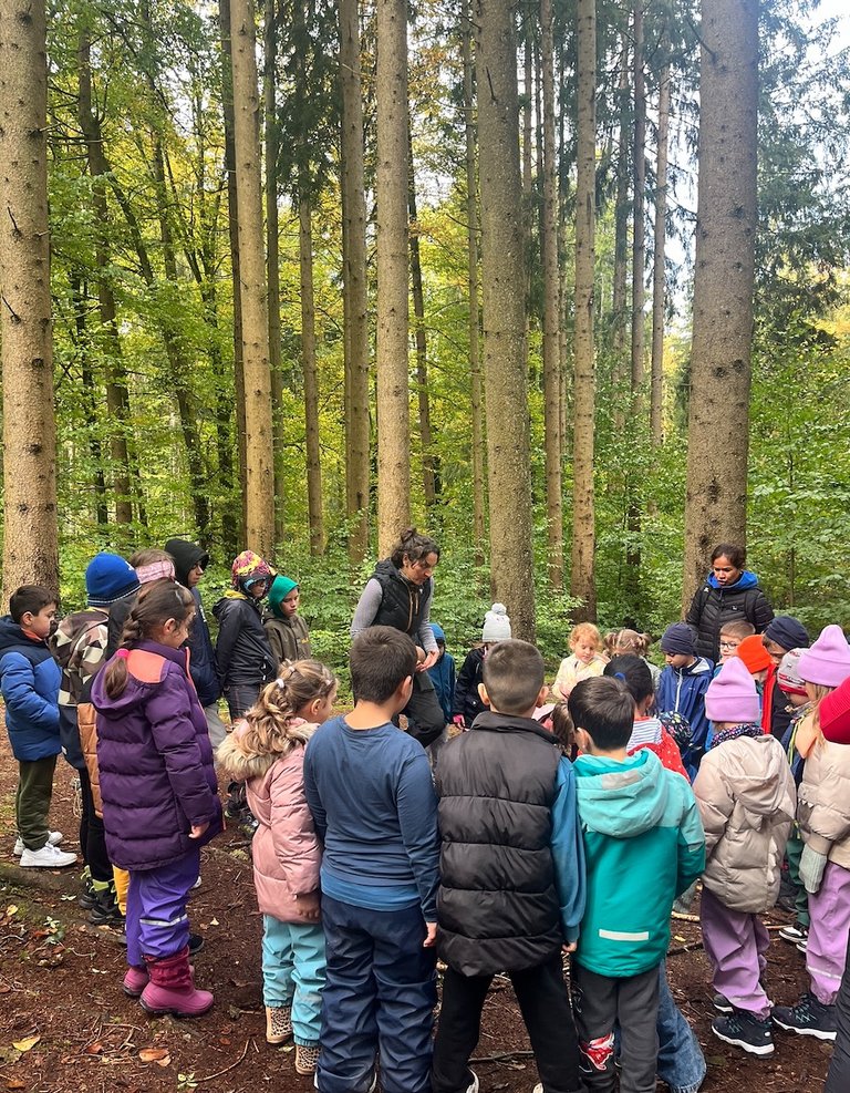 Waldtag_1e_und_5a_5.jpg 